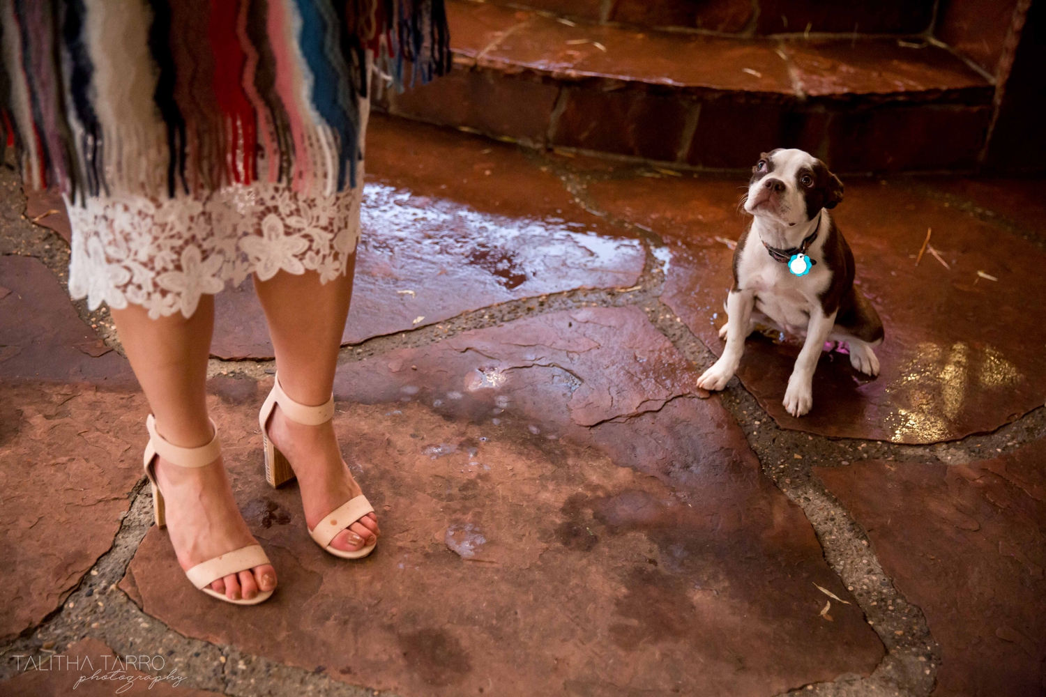 Santa Fe Wedding Reception